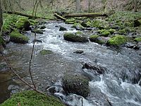 Bild: Kolles-Leuken