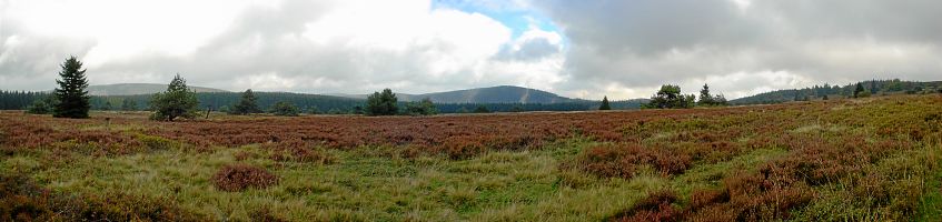 Bild: Heinsberger Heide Bild: Heinsberger Heide