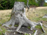Bild: Thron am Kahlen Asten Bild: Thron am Kahlen Asten