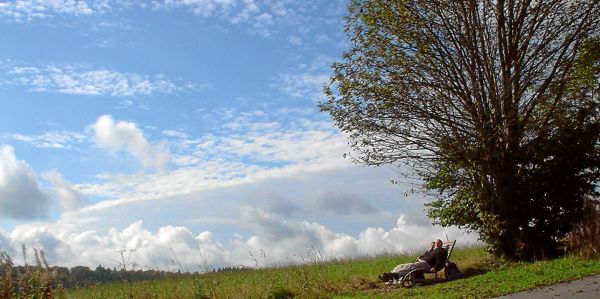 Bild: Zwei auf der Waldliege Bild: Zwei auf der Waldliege
