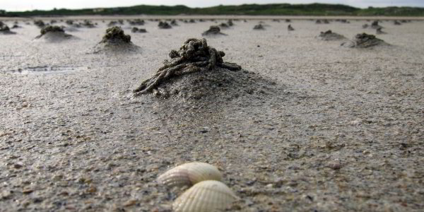 Bild: Am Strand in Claddaghduff Bild: Am Strand in Claddaghduff