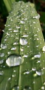 Bild: Wasser und Licht Bild: Wasser und Licht