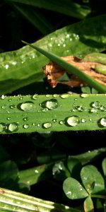 Bild: Wasser und Licht Bild: Wasser und Licht