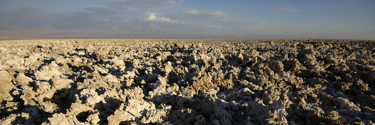 Bild: Salar de Atacama Bild: Salar de Atacama