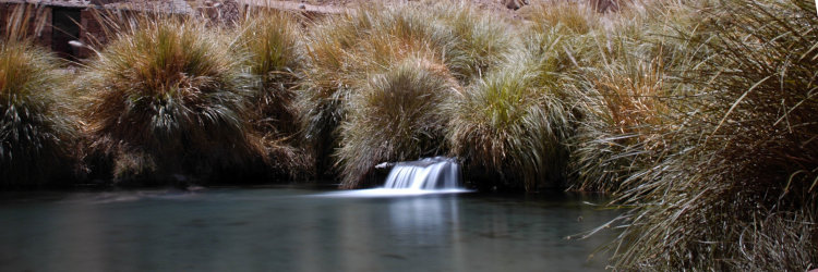 Bild: 4 Mädels beim Baden mit Graufilter Bild: 4 Mädels beim Baden mit Graufilter