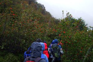 Bild: Auf der Wanderung