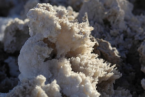 Bild: Salz