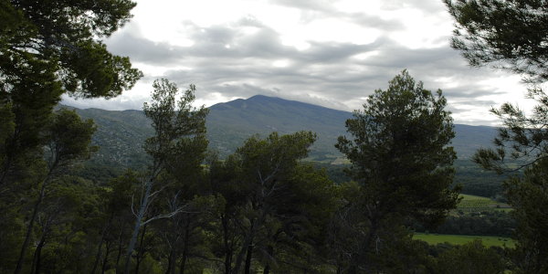 Bild: Morgens am Mt.Ventoux Bild: Morgens am Mt.Ventoux