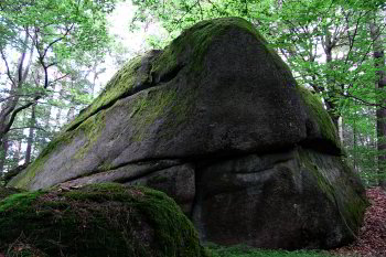 Bild: Immer wieder mal Felsen