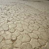 Bild: Im Deadvlei Bild: Im Deadvlei