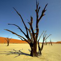 Bild: Im Deadvlei Bild: Im Deadvlei