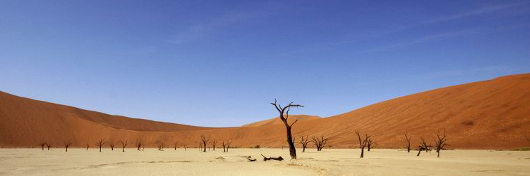 Bild: Im Deadvlei Bild: Im Deadvlei