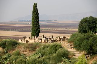In Volubilis In Volubilis