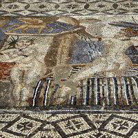 Mosaikboden in Volubilis Mosaikboden in Volubilis