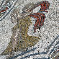 Mosaikboden in Volubilis Mosaikboden in Volubilis
