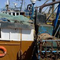 Boote im Hafen Boote im Hafen