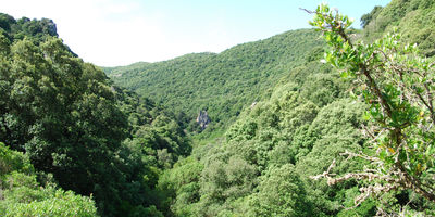 Auf einer Wanderung im Inselinneren Auf einer Wanderung im Inselinneren