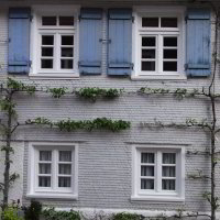 Spalierobst am Hauff-Museum Spalierobst am Hauff-Museum