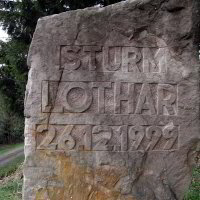 Denkmal zum Sturm Lothar Denkmal zum Sturm Lothar