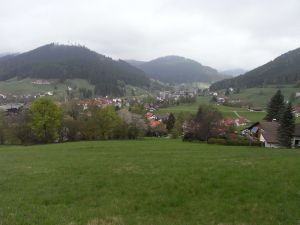 Blick zurück nach Baiersbronn Blick zurück nach Baiersbronn