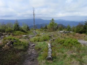Blick auf die Vogesen Blick auf die Vogesen