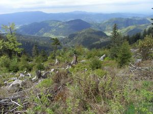 Blick auf die Vogesen Blick auf die Vogesen