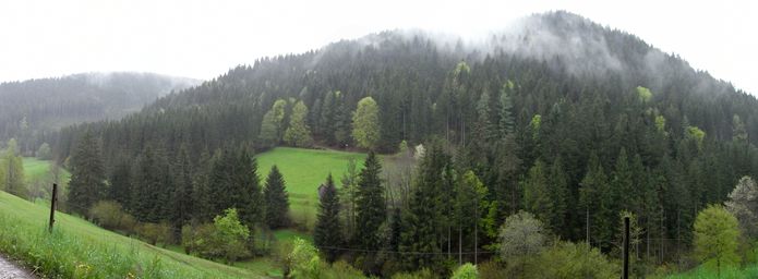 Trübe Aussichten im Reichenbachtal Trübe Aussichten im Reichenbachtal