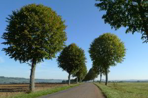 Traumhafte Landstrasse Traumhafte Landstrasse