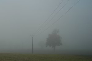 Morgennebel Morgennebel