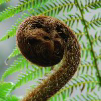 im Botanischen Garten im Botanischen Garten