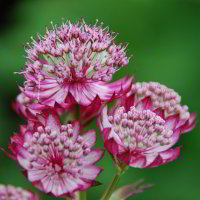 im Botanischen Garten im Botanischen Garten
