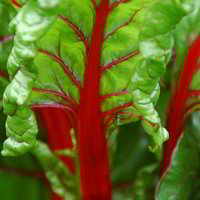 im Botanischen Garten im Botanischen Garten