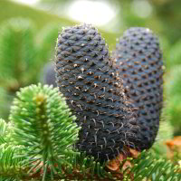 im Botanischen Garten im Botanischen Garten