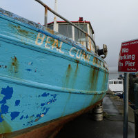 Boot im Halteverbot Boot im Halteverbot
