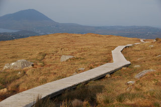 manchmal Holzwege zum Schutz des Moores manchmal Holzwege zum Schutz des Moores