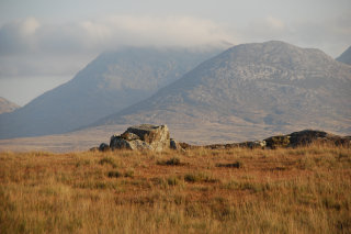 Auf er Fahrt durchs Moor Auf er Fahrt durchs Moor