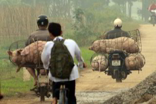 Schweinetransporter Schweinetransporter