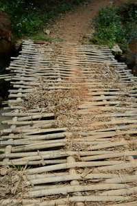 typische Brücke aus Bambus typische Brücke aus Bambus