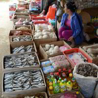 getrockneter Fisch getrockneter Fisch