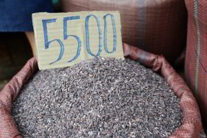 Schwarzer Reis kostet 55 Cent Schwarzer Reis kostet 55 Cent