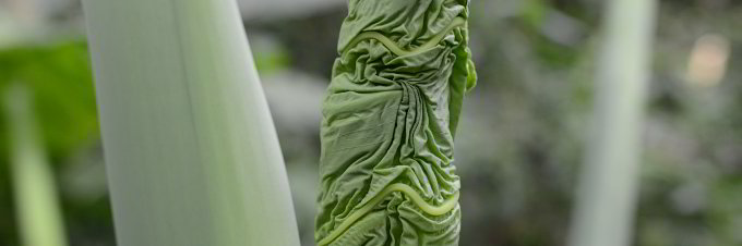 Ein Blatt entfaltet sich Ein Blatt entfaltet sich