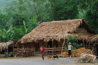 einfaches mit Palmblättern gedecktes Haus einfaches mit Palmblättern gedecktes Haus