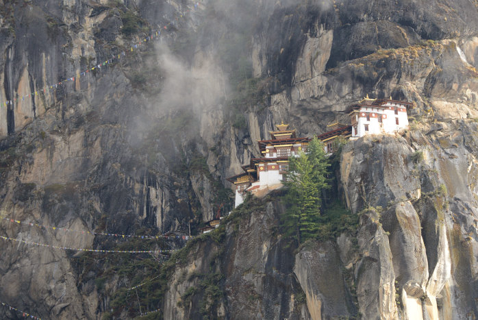 Tiger Nest