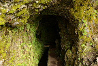 Bild: In einen Tunnel hinein