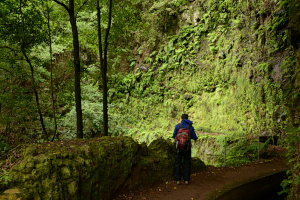Bild: Dunkel, feucht und kalt an der Levada da Ribeira da Janela Bild: Dunkel, feucht und kalt an der Levada da Ribeira da Janela