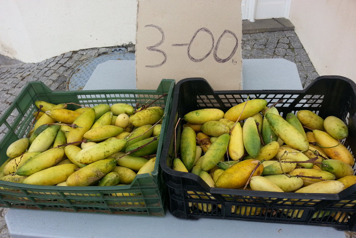 Bananenmaracuja, das Kilo 3€ Bananenmaracuja, das Kilo 3€