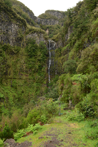 Bild: Der Risco-Wasserfall Bild: Der Risco-Wasserfall