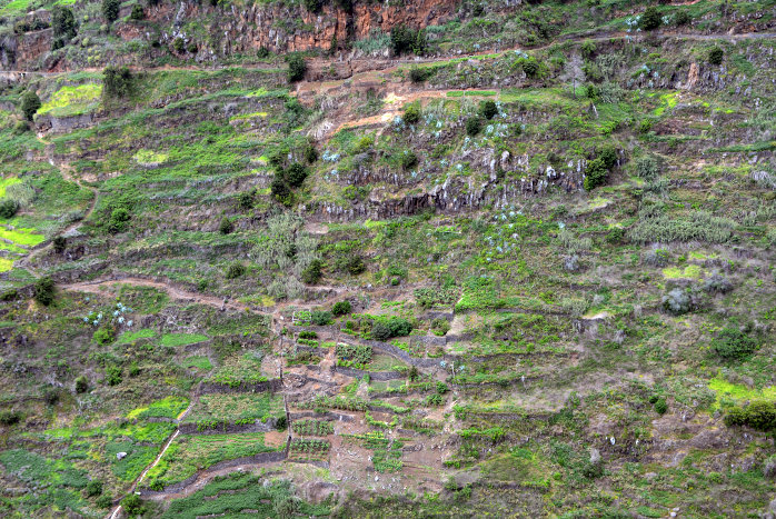 Garten am Steilhang Garten am Steilhang