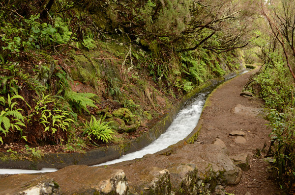 An der Wassertreppe An der Wassertreppe