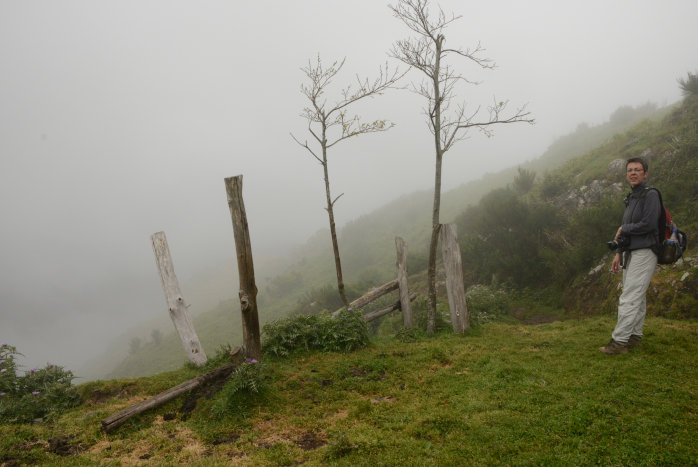 Elke verschwindet schon fast im Nebel Elke verschwindet schon fast im Nebel